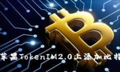 如何在苹果TokenIM2.0上添加