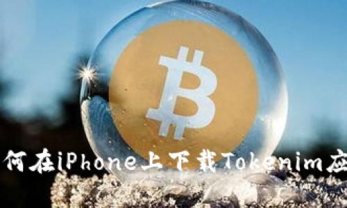 如何在iPhone上下载Tokenim应用