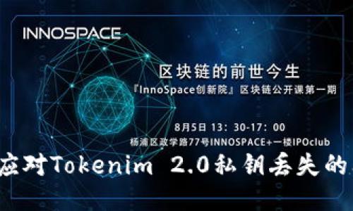 如何应对Tokenim 2.0私钥丢失的问题？