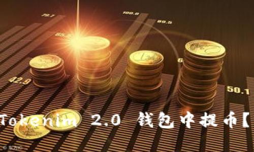 如何在 Tokenim 2.0 钱包中提币？详细指南