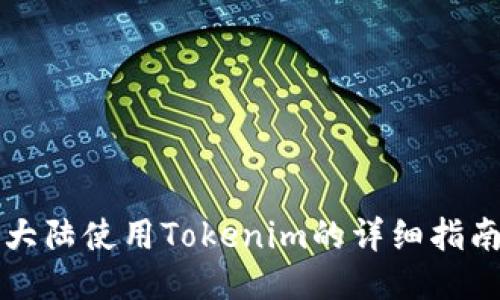 大陆使用Tokenim的详细指南