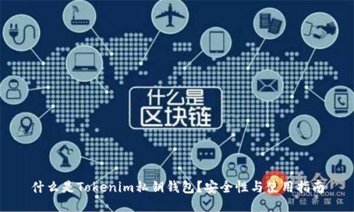 什么是Tokenim私钥钱包？安全性与使用指南