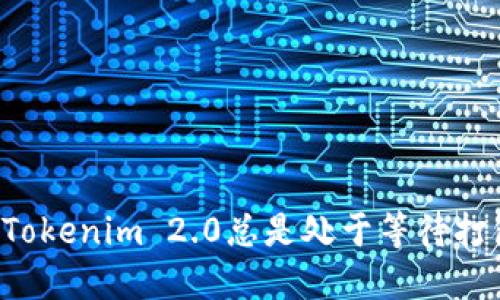 为什么Tokenim 2.0总是处于等待打包状态？