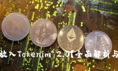 Pi币能否放入Tokenim 2.0？全面解析与用户指南