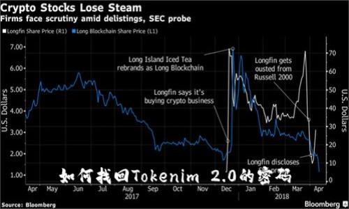 如何找回Tokenim 2.0的密码