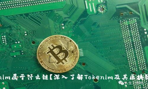 Tokenim属于什么链？深入了解Tokenim及其区块链生态