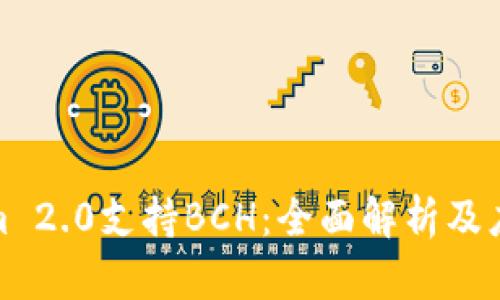 Tokenim 2.0支持BCH：全面解析及应用前景