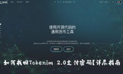如何找回Tokenim 2.0支付密码