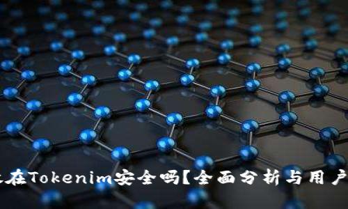 币放在Tokenim安全吗？全面分析与用户指南