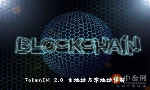 TokenIM 2.0 主地址与字地址详解