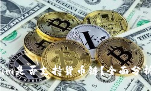  Tokenim是否支持货币链？全面分析与解读