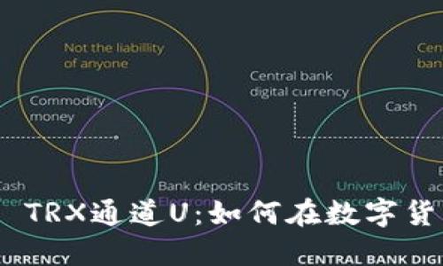 深入了解Tokenim TRX通道U：如何在数字货币市场中获取优势