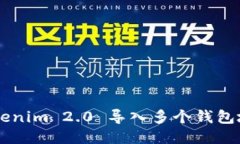 如何使用 Tokenim 2.0 导入多