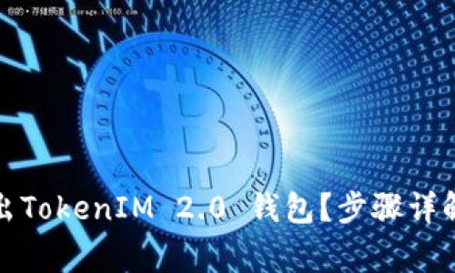 如何安全退出TokenIM 2.0 钱包？步骤详解与注意事项