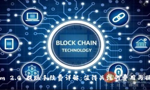 Tokenim 2.0 提现手续费详解：值得关注的费用与操作指南