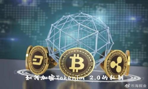 如何加密Tokenim 2.0的私钥