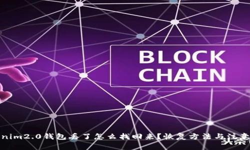 Tokenim2.0钱包丢了怎么找回来？恢复方法与注意事项