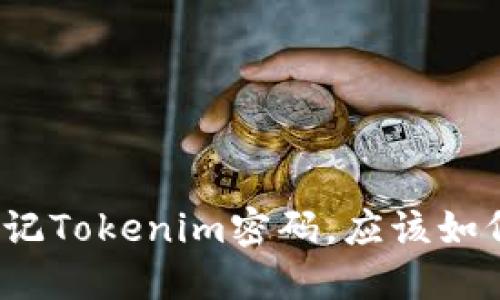 如果忘记Tokenim密码，应该如何找回？
