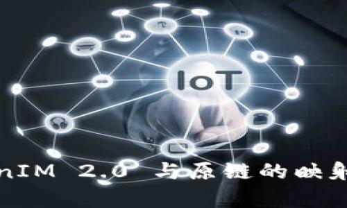 TokenIM 2.0 与原链的映射解析