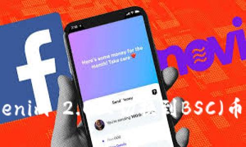 如何在Tokenim 2.0上切换到BSC（币安智能链）