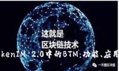 深入探讨TokenIM 2.0中的BTM：功能、应用与未来展望