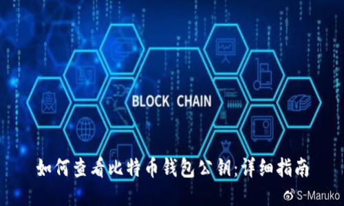 如何查看比特币钱包公钥：详细指南