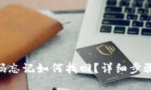 Tokenim密码忘记如何找回？详细步骤与解决方案