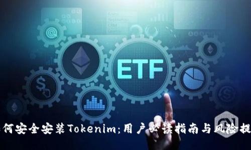 如何安全安装Tokenim：用户必读指南与风险提示