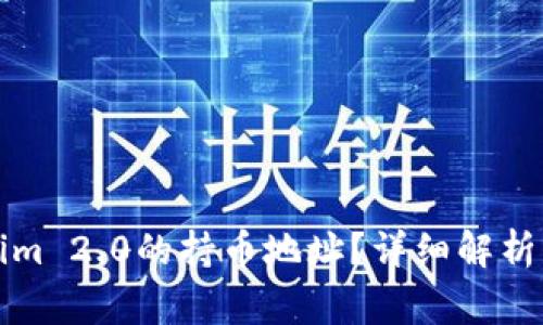 如何查询Tokenim 2.0的持币地址？详细解析及常见问题解答