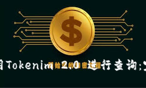 如何使用Tokenim 2.0 进行查询：完整指南