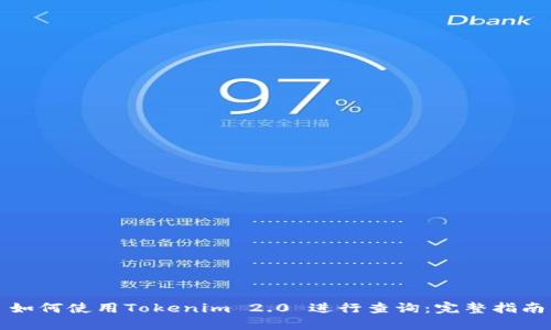 如何使用Tokenim 2.0 进行查询：完整指南