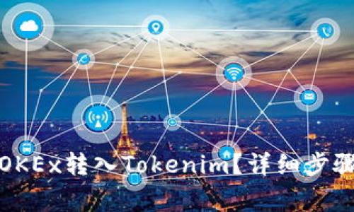 如何将币从OKEx转入Tokenim？详细步骤与注意事项