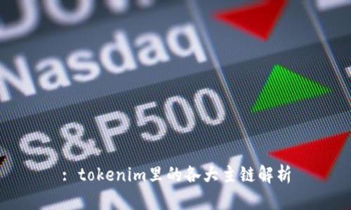 : tokenim里的各大主链解析