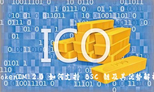 TokenIM 2.0 如何支持 BSC 链及其优势解析