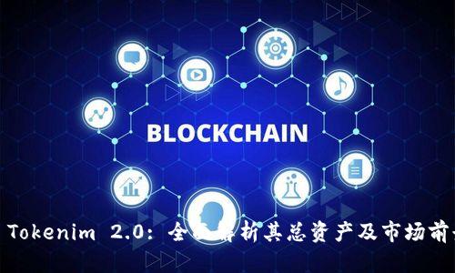 : Tokenim 2.0: 全面解析其总资产及市场前景