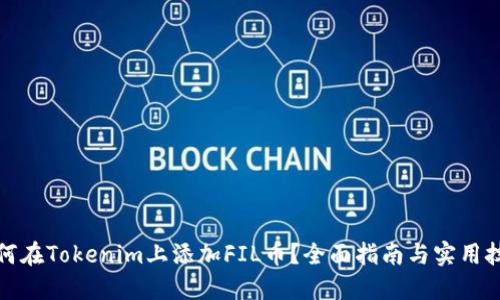 如何在Tokenim上添加FIL币？全面指南与实用技巧