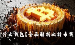 比特币提币用什么钱包？全面解析比特币钱包种