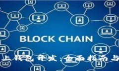 区块链链上钱包开发：全面指南与实用技巧