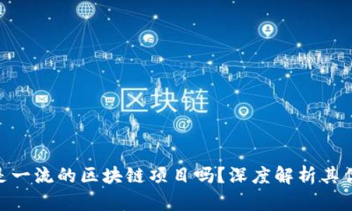 Tokenim是一流的区块链项目吗？深度解析其优势与潜力
