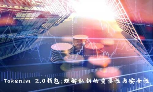 Tokenim 2.0钱包：理解私钥的重要性与安全性