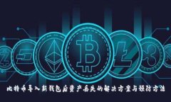 比特币导入新钱包后资产丢失的解决方案与预防