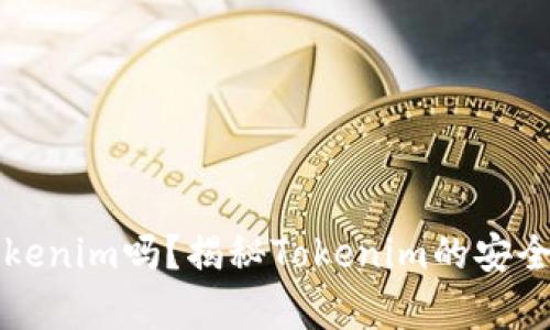 黑客能破解Tokenim吗？揭秘Tokenim的安全性与防护措施