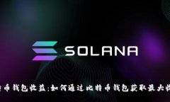 比特币钱包收益：如何通过比特币钱包获取最大