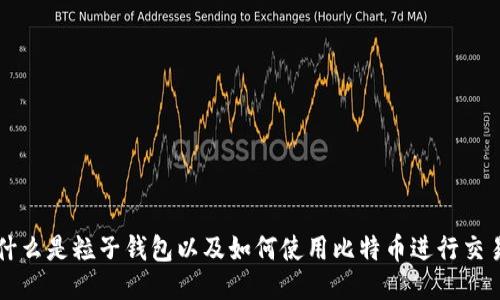 什么是粒子钱包以及如何使用比特币进行交易