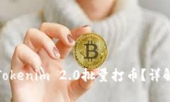 : 如何使用Tokenim 2.0批量打币？详解与实用指南