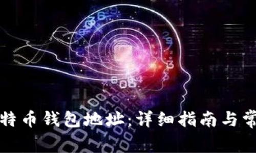 如何申请比特币钱包地址：详细指南与常见问题解答