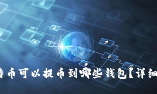 :比特币可以提币到哪些钱包？详细指南