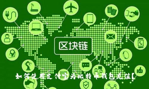 如何使用支付宝为比特币钱包充值？