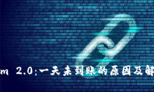 Tokenim 2.0：一天未到账的原因及解决方法
