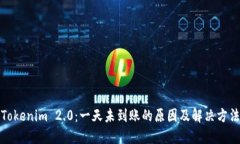 Tokenim 2.0：一天未到账的原因及解决方法